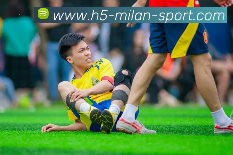 米兰体育APP 封面图